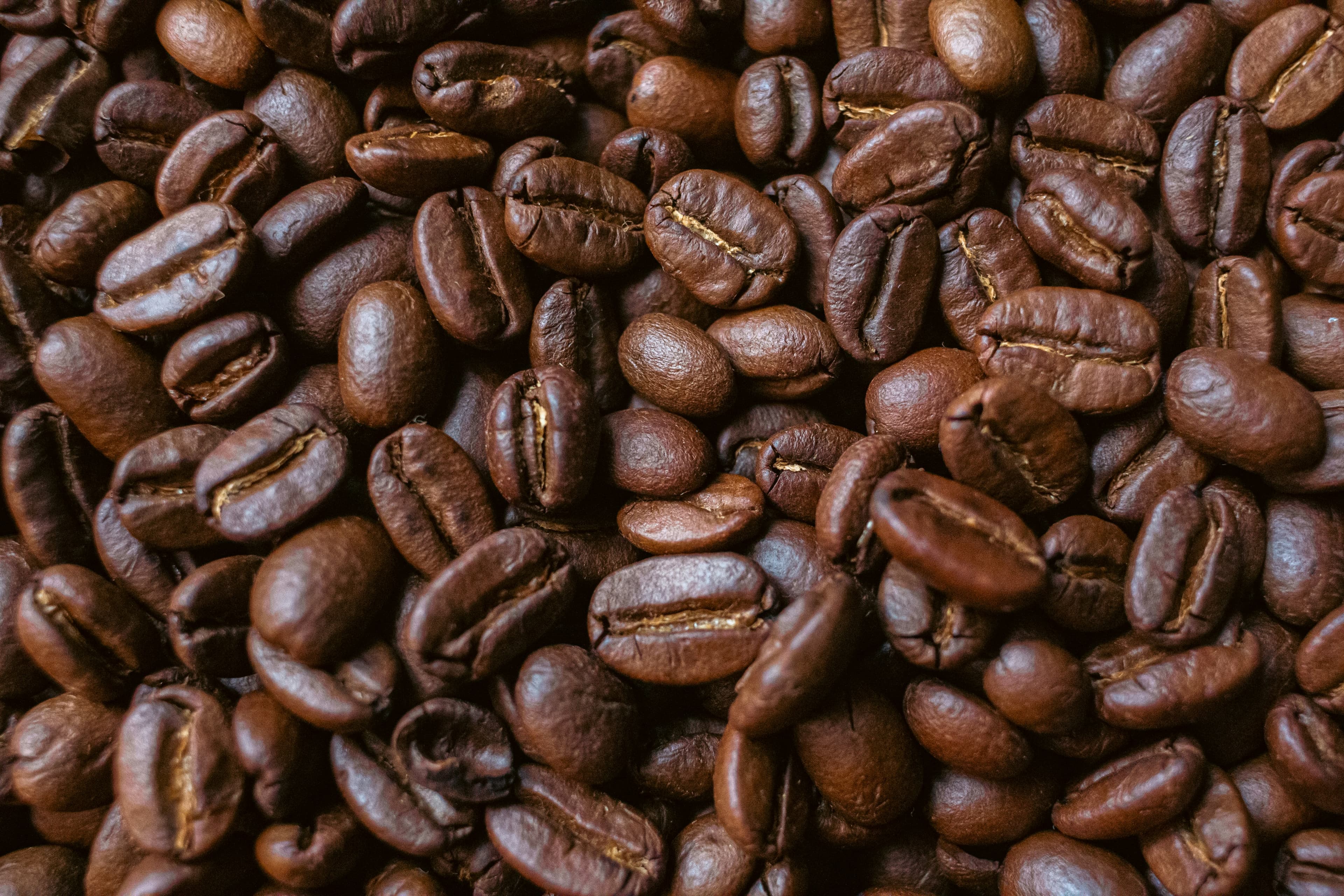 Roasted coffee beans shown up close
